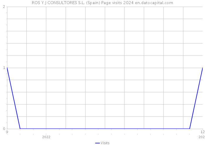 ROS Y J CONSULTORES S.L. (Spain) Page visits 2024 