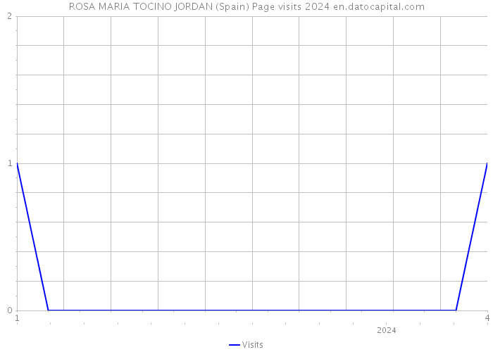 ROSA MARIA TOCINO JORDAN (Spain) Page visits 2024 