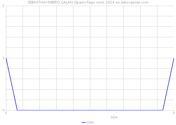 SEBASTIAN RIBERO GALAN (Spain) Page visits 2024 