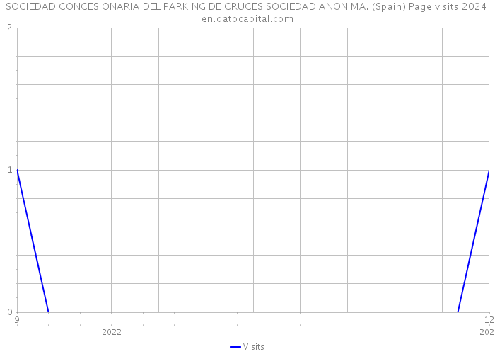 SOCIEDAD CONCESIONARIA DEL PARKING DE CRUCES SOCIEDAD ANONIMA. (Spain) Page visits 2024 