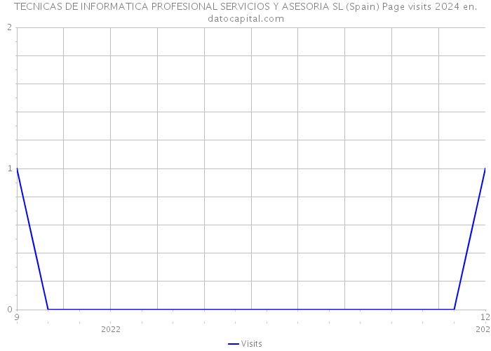 TECNICAS DE INFORMATICA PROFESIONAL SERVICIOS Y ASESORIA SL (Spain) Page visits 2024 