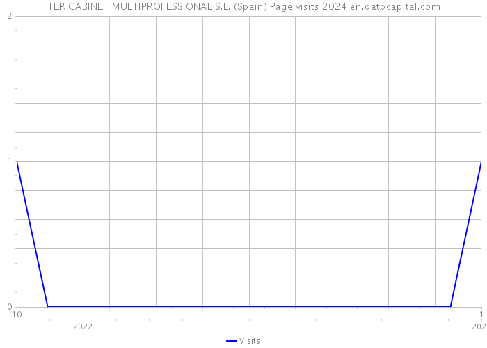 TER GABINET MULTIPROFESSIONAL S.L. (Spain) Page visits 2024 