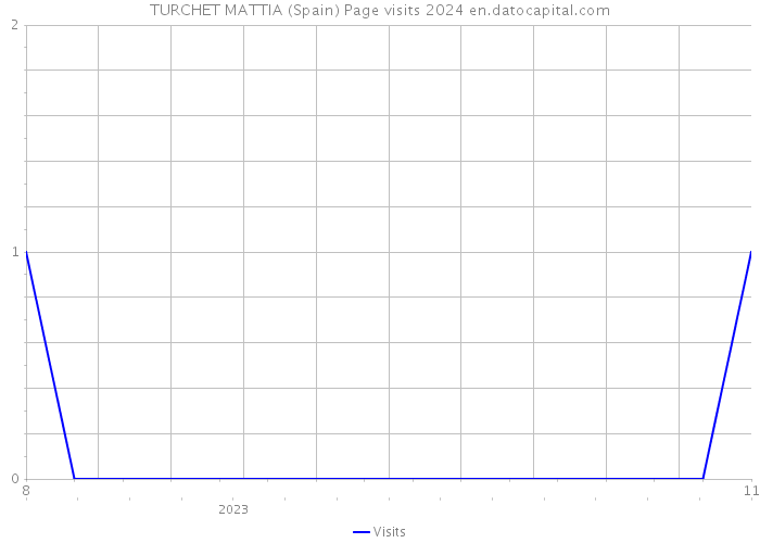 TURCHET MATTIA (Spain) Page visits 2024 