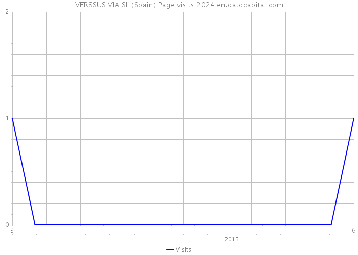 VERSSUS VIA SL (Spain) Page visits 2024 