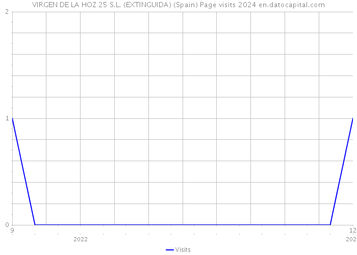 VIRGEN DE LA HOZ 25 S.L. (EXTINGUIDA) (Spain) Page visits 2024 