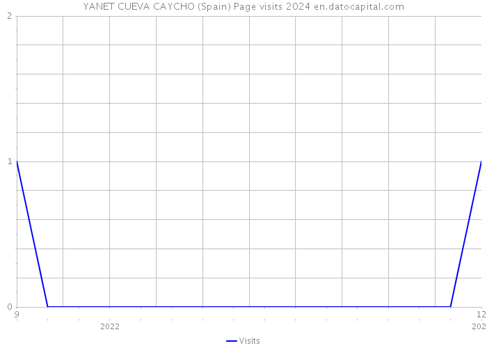 YANET CUEVA CAYCHO (Spain) Page visits 2024 