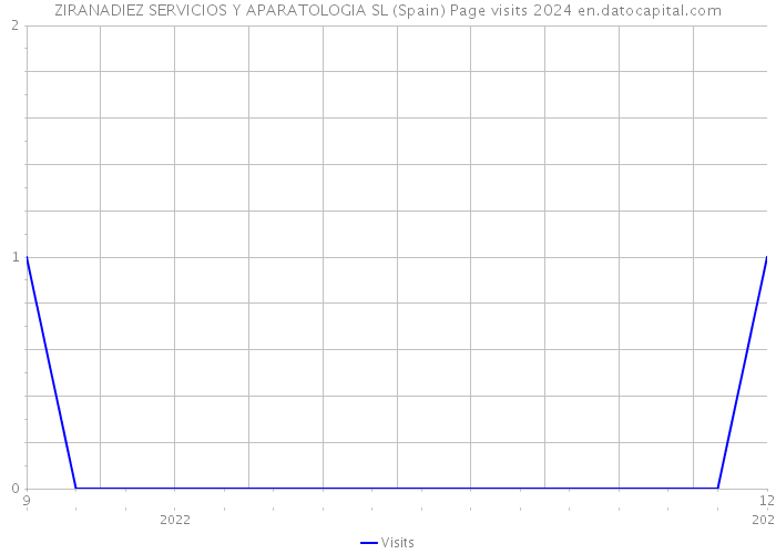 ZIRANADIEZ SERVICIOS Y APARATOLOGIA SL (Spain) Page visits 2024 