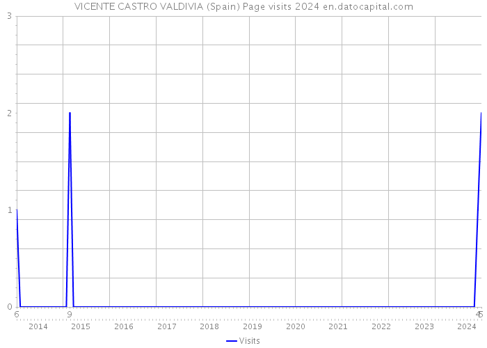 VICENTE CASTRO VALDIVIA (Spain) Page visits 2024 