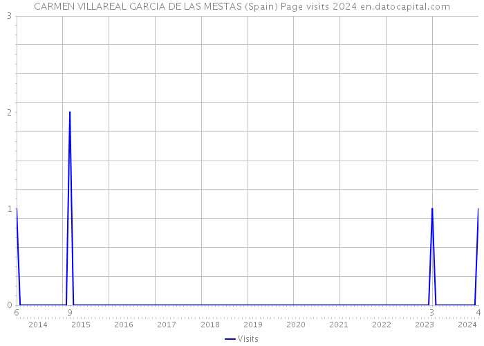CARMEN VILLAREAL GARCIA DE LAS MESTAS (Spain) Page visits 2024 