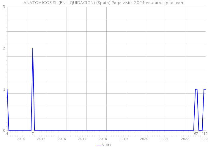 ANATOMICOS SL (EN LIQUIDACION) (Spain) Page visits 2024 