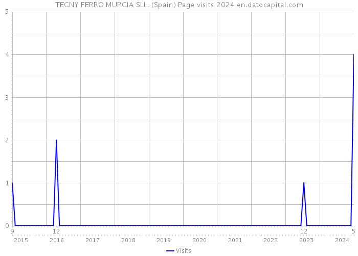 TECNY FERRO MURCIA SLL. (Spain) Page visits 2024 