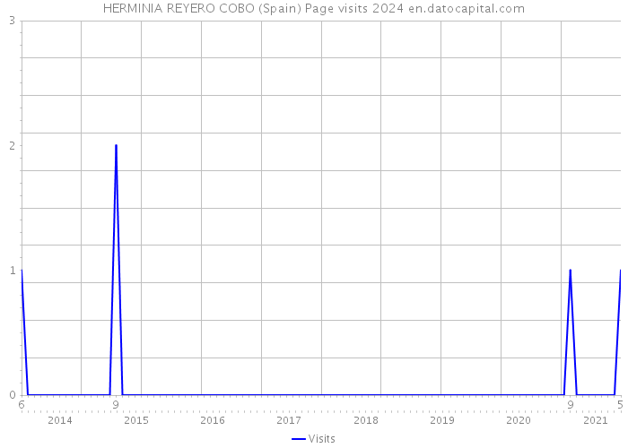 HERMINIA REYERO COBO (Spain) Page visits 2024 