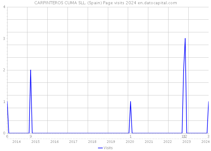 CARPINTEROS CUMA SLL. (Spain) Page visits 2024 