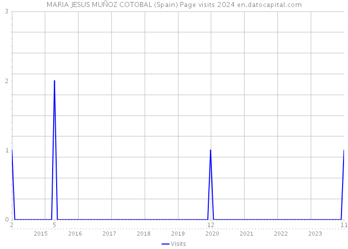 MARIA JESUS MUÑOZ COTOBAL (Spain) Page visits 2024 