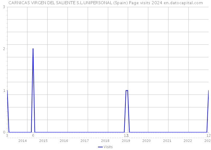CARNICAS VIRGEN DEL SALIENTE S.L.UNIPERSONAL (Spain) Page visits 2024 