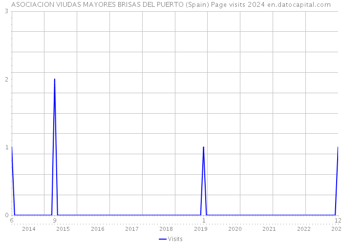 ASOCIACION VIUDAS MAYORES BRISAS DEL PUERTO (Spain) Page visits 2024 