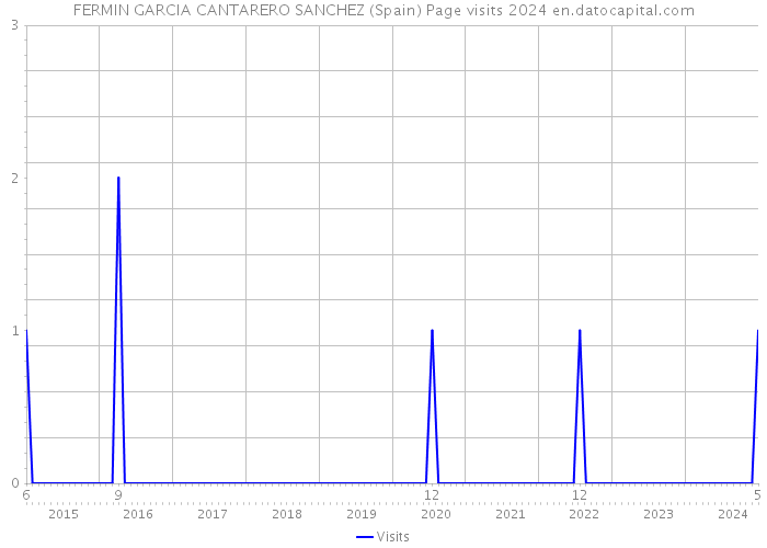 FERMIN GARCIA CANTARERO SANCHEZ (Spain) Page visits 2024 