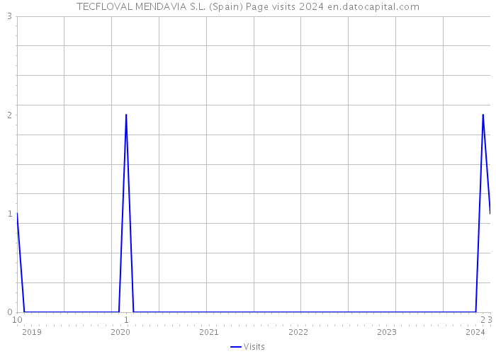 TECFLOVAL MENDAVIA S.L. (Spain) Page visits 2024 