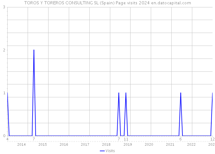 TOROS Y TOREROS CONSULTING SL (Spain) Page visits 2024 