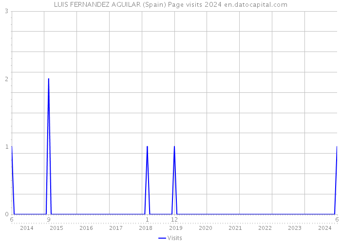 LUIS FERNANDEZ AGUILAR (Spain) Page visits 2024 