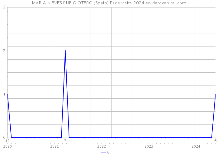 MARIA NIEVES RUBIO OTERO (Spain) Page visits 2024 