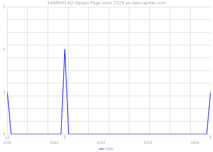 KAMRAN ALI (Spain) Page visits 2024 