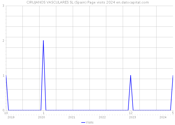 CIRUJANOS VASCULARES SL (Spain) Page visits 2024 