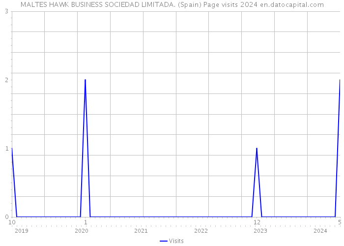 MALTES HAWK BUSINESS SOCIEDAD LIMITADA. (Spain) Page visits 2024 