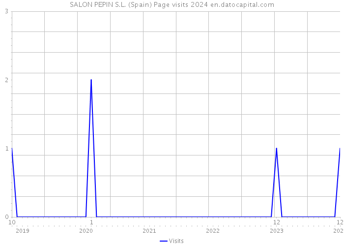 SALON PEPIN S.L. (Spain) Page visits 2024 