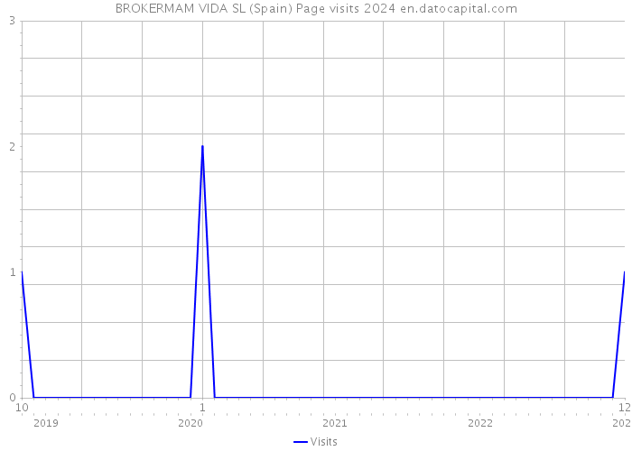 BROKERMAM VIDA SL (Spain) Page visits 2024 