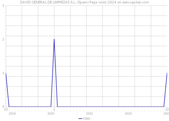 DAVID GENERAL DE LIMPIEZAS S.L. (Spain) Page visits 2024 