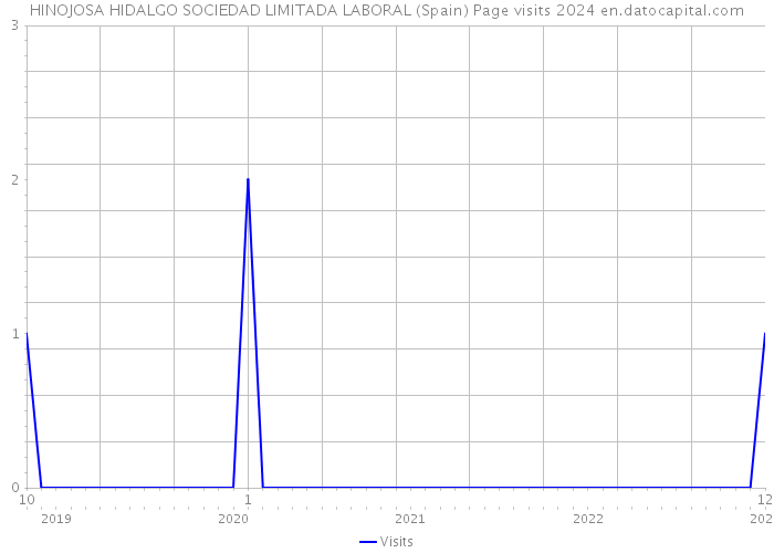 HINOJOSA HIDALGO SOCIEDAD LIMITADA LABORAL (Spain) Page visits 2024 