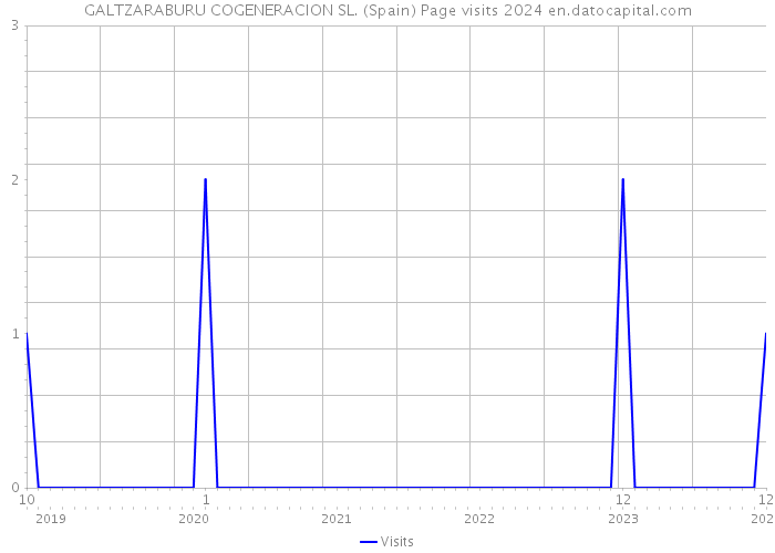 GALTZARABURU COGENERACION SL. (Spain) Page visits 2024 