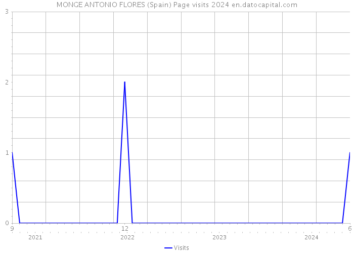 MONGE ANTONIO FLORES (Spain) Page visits 2024 