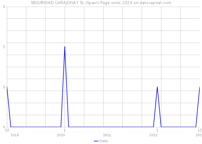 SEGURIDAD GARAJONAY SL (Spain) Page visits 2024 