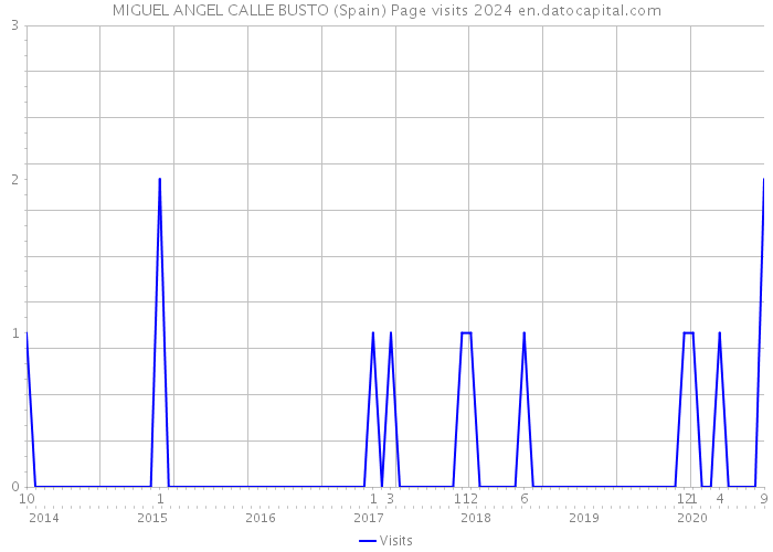 MIGUEL ANGEL CALLE BUSTO (Spain) Page visits 2024 