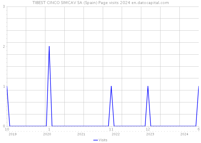 TIBEST CINCO SIMCAV SA (Spain) Page visits 2024 