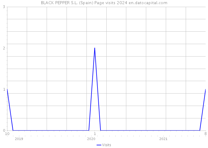 BLACK PEPPER S.L. (Spain) Page visits 2024 