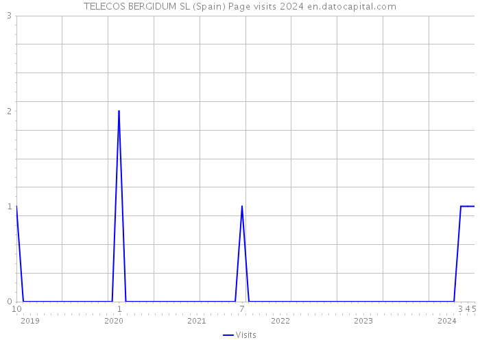 TELECOS BERGIDUM SL (Spain) Page visits 2024 