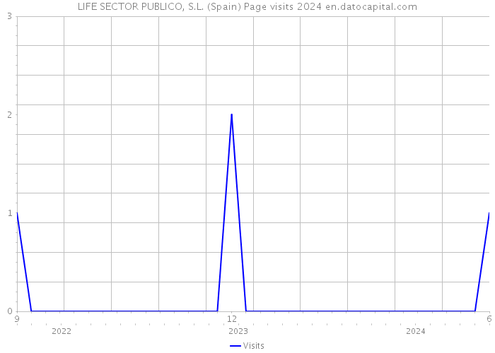 LIFE SECTOR PUBLICO, S.L. (Spain) Page visits 2024 