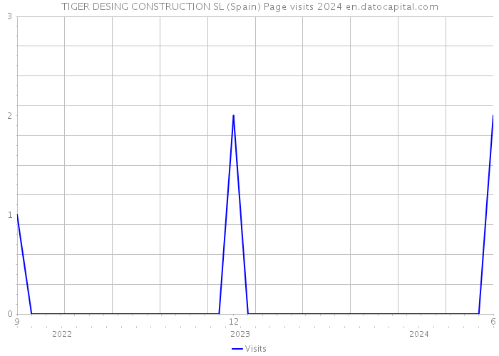 TIGER DESING CONSTRUCTION SL (Spain) Page visits 2024 