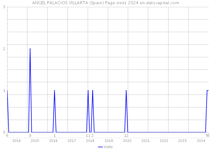 ANGEL PALACIOS VILLARTA (Spain) Page visits 2024 