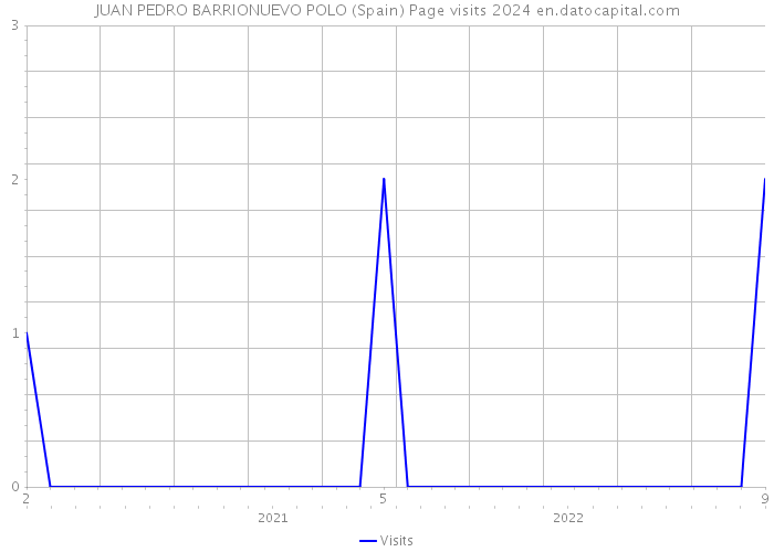 JUAN PEDRO BARRIONUEVO POLO (Spain) Page visits 2024 