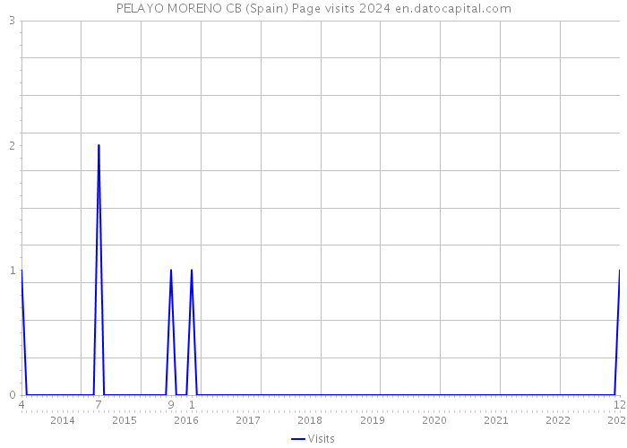 PELAYO MORENO CB (Spain) Page visits 2024 