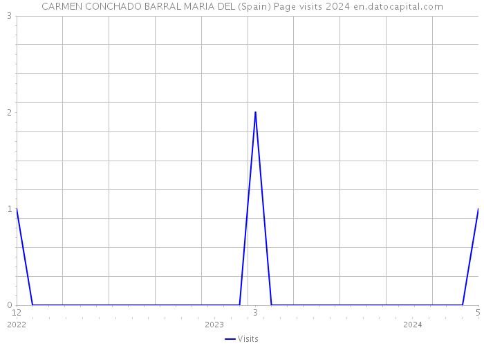CARMEN CONCHADO BARRAL MARIA DEL (Spain) Page visits 2024 
