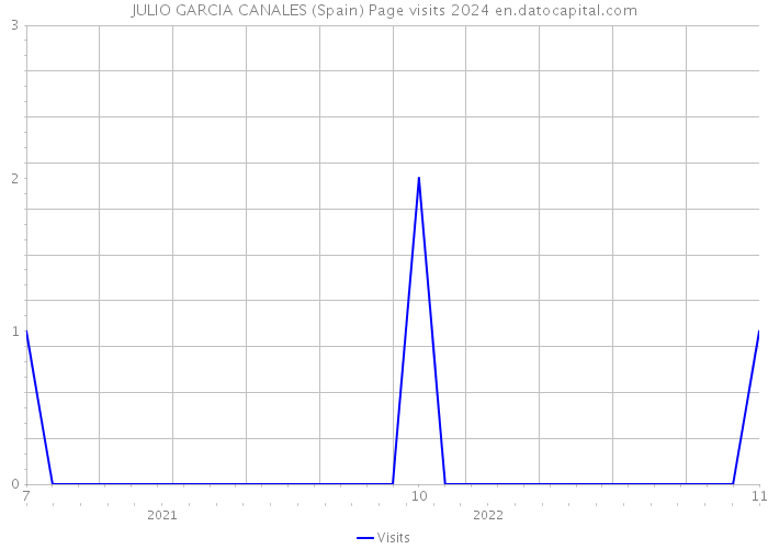 JULIO GARCIA CANALES (Spain) Page visits 2024 