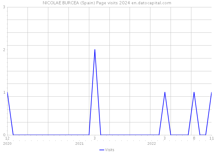 NICOLAE BURCEA (Spain) Page visits 2024 