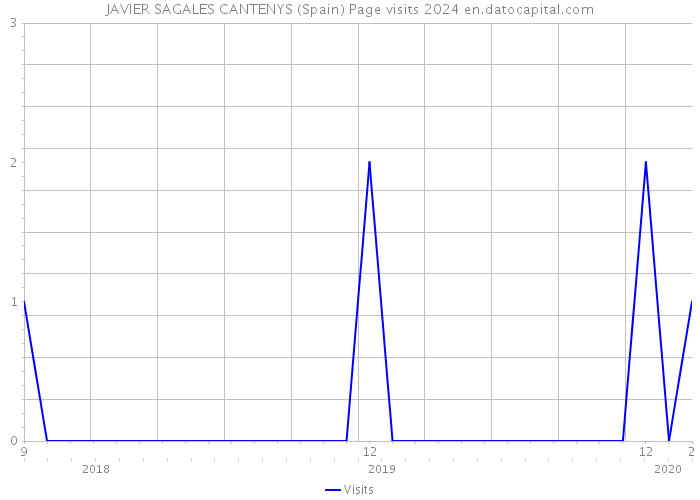 JAVIER SAGALES CANTENYS (Spain) Page visits 2024 