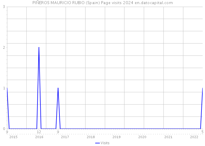 PIÑEROS MAURICIO RUBIO (Spain) Page visits 2024 