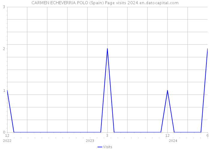 CARMEN ECHEVERRIA POLO (Spain) Page visits 2024 